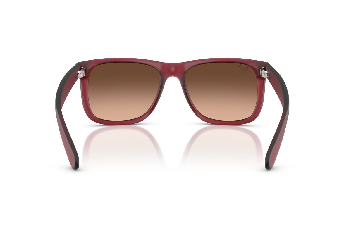 Ray-Ban Justin  -NOVEDAD